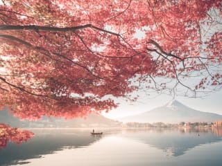 Japan